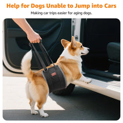 LOOBANI dog sling with reflective strap detail enhances safety during evening use