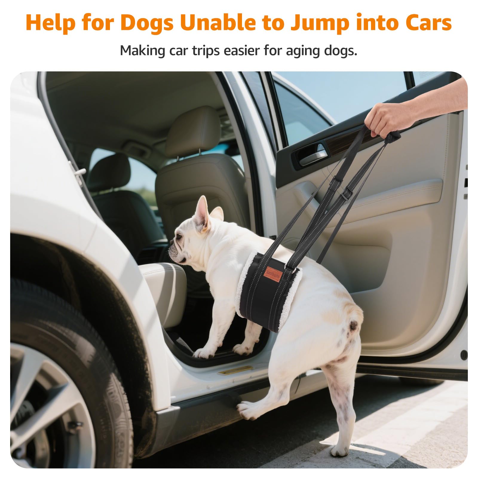 LOOBANI dog sling stand-up assist with padded handle for easy lifting