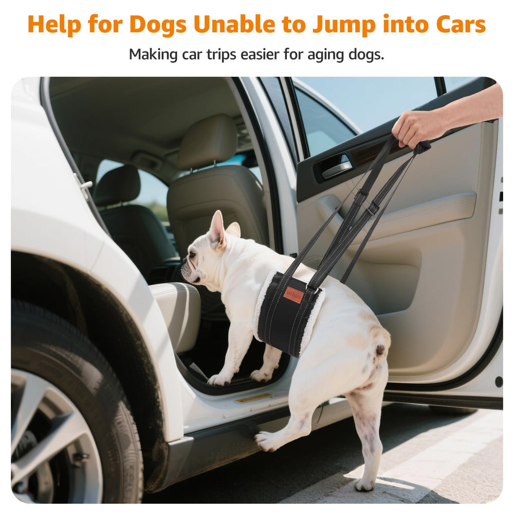 LOOBANI dog sling stand-up assist with padded handle for easy lifting