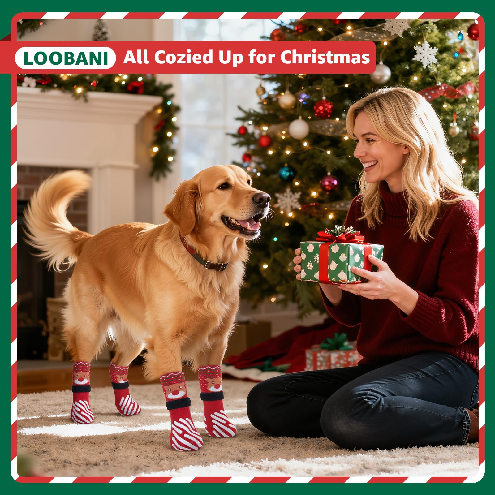 LOOBANI dog socks show grippers for stable steps on slick surfaces