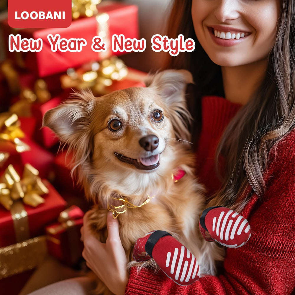 LOOBANI dog socks packaging and contents highlight four stretchy cotton socks.
