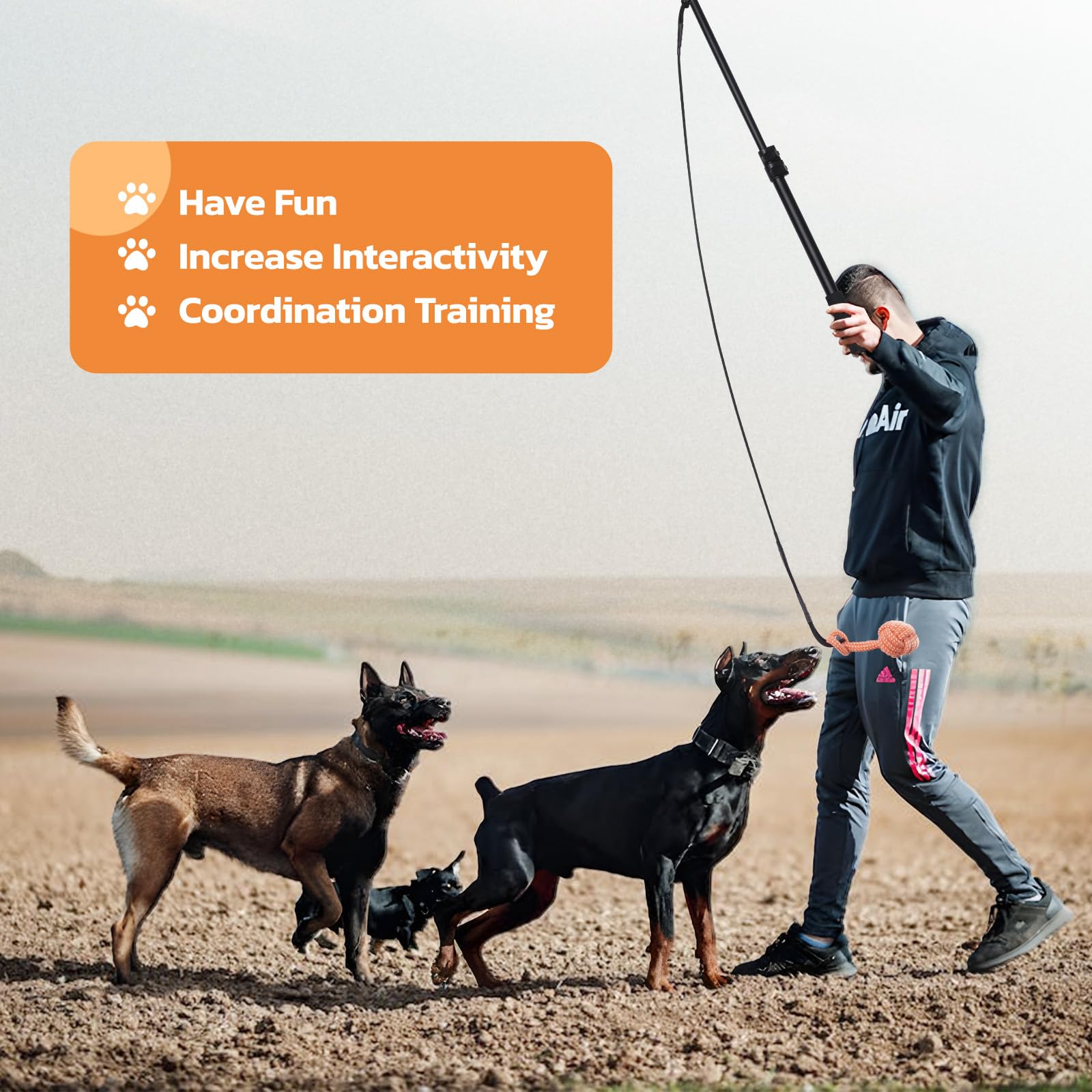 LOOBANI Flirt Pole indoor-outdoor play setup shows flexible use anywhere with your dog