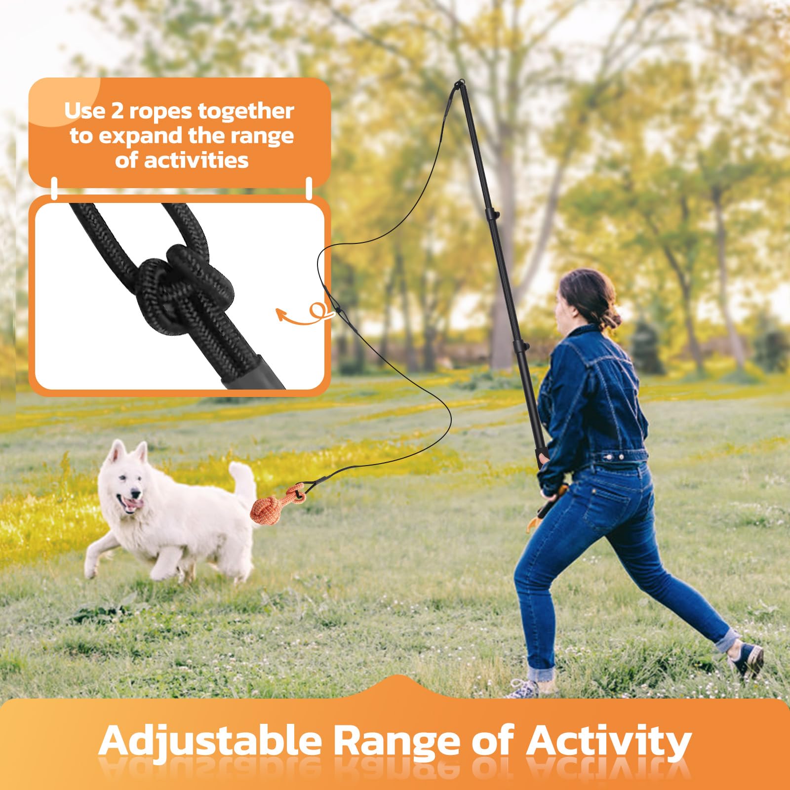 LOOBANI Flirt Pole tug-and-chase action highlights dynamic movement and core strengthening potential