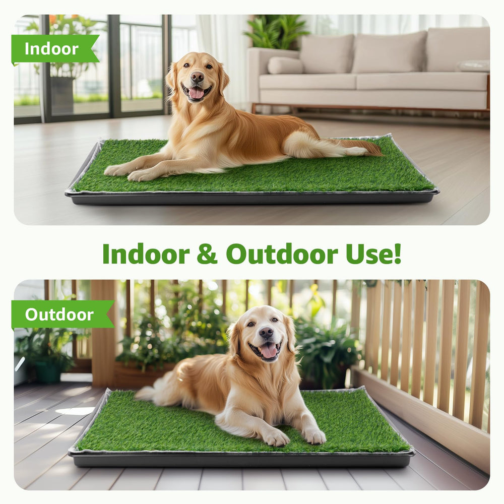 LOOBANI 35x23 inch tray provides ample space for bigger dogs