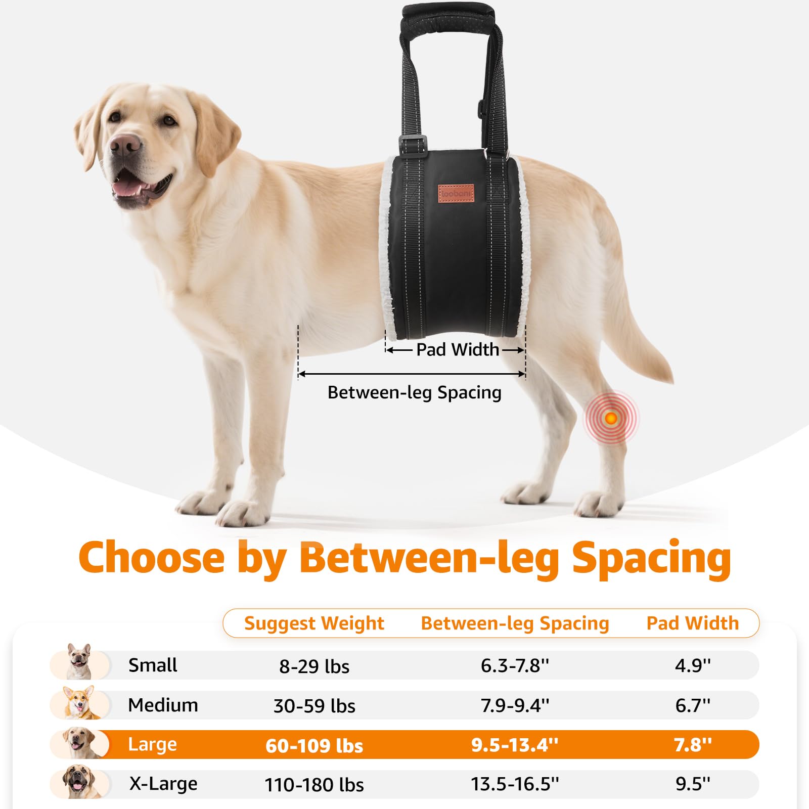 LOOBANI heavy-duty strap with reflective band improves visibility during evening assistance