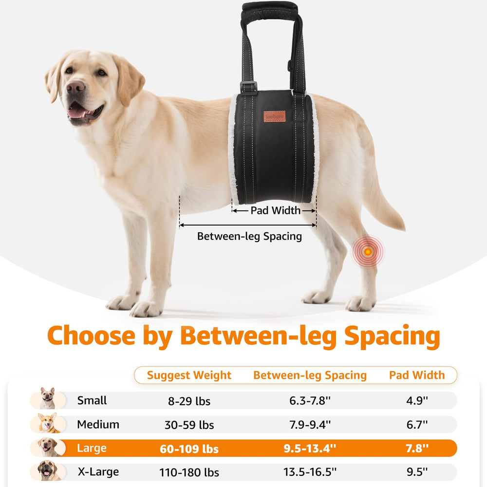 LOOBANI heavy-duty strap with reflective band improves visibility during evening assistance