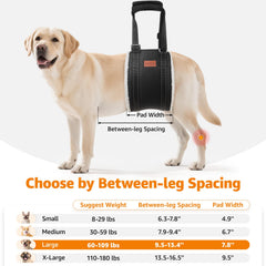 LOOBANI heavy-duty strap with reflective band improves visibility during evening assistance
