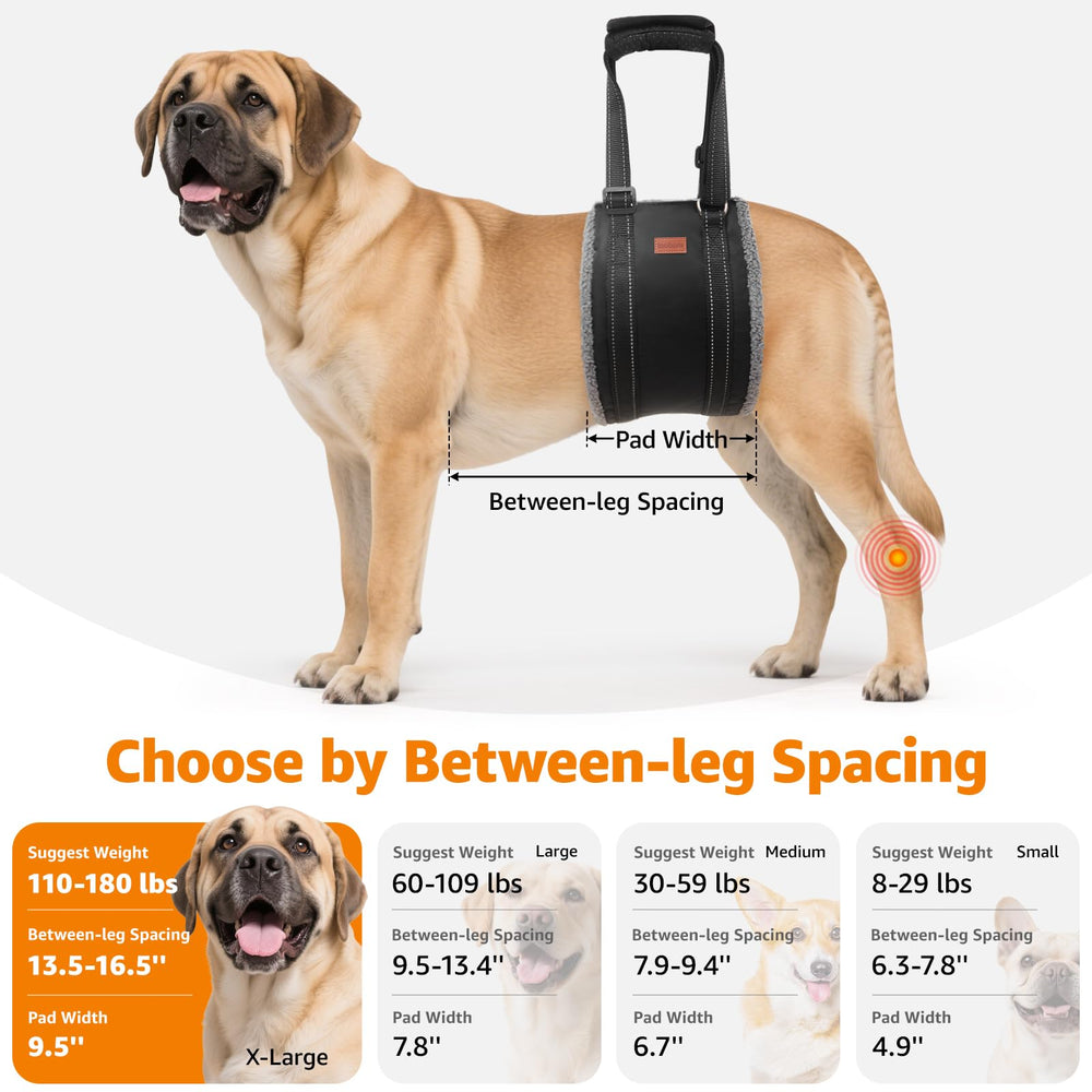 LOOBANI hip-support harness helps dogs stand and navigate stairs with less strain