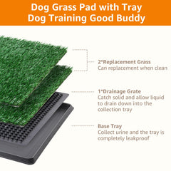 LOOBANI indoor dog potty assembled beside a window, highlighting portable setup.