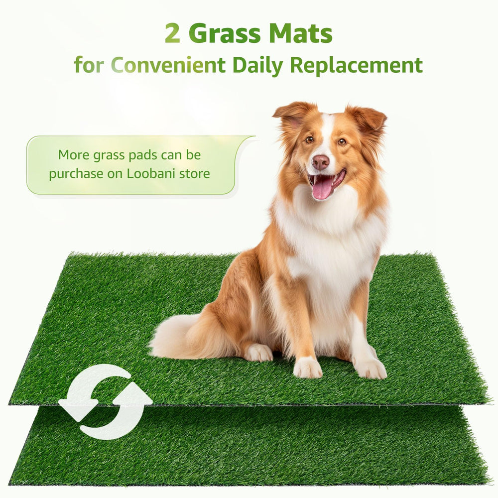 LOOBANI indoor dog potty setup showing portable turf system for apartments.
