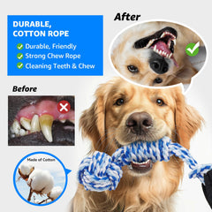 LOOBANI Interactive Tug-of-War Dog Toy fuels active fetch and bonding sessions