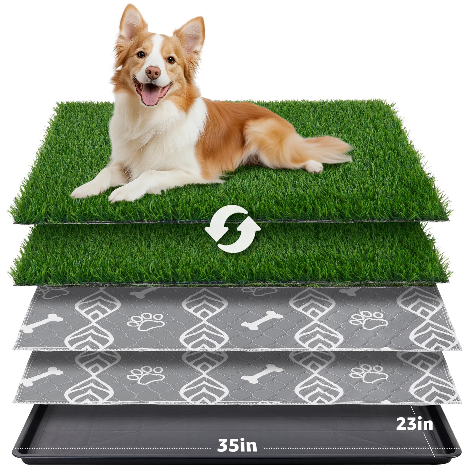 LOOBANI large dog grass pad tray setup for easy potty training