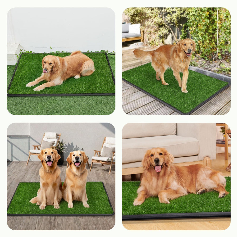 LOOBANI large tray dog potty in everyday use provides ample bathroom space.