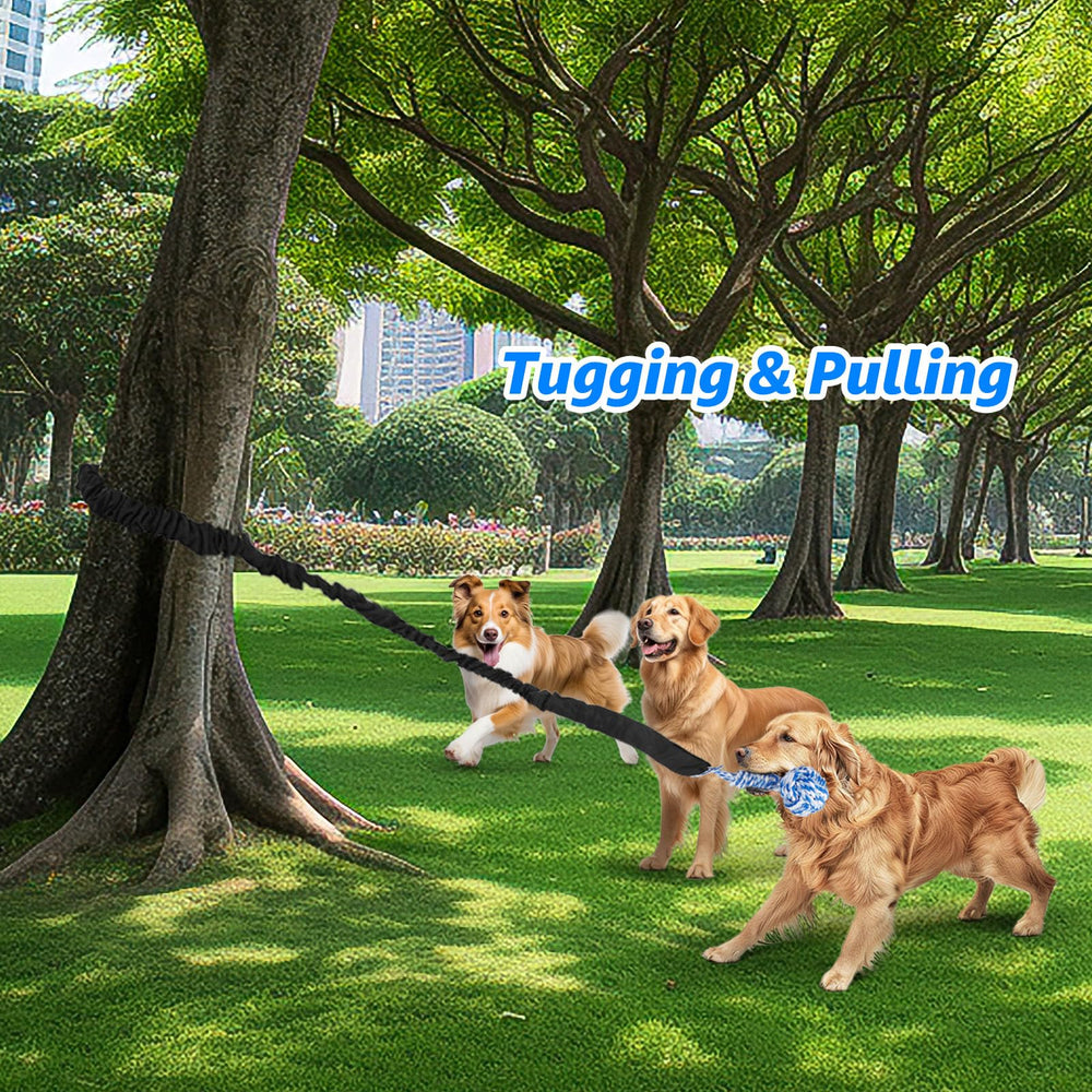 LOOBANI Muscle-Building Dog Toy promotes movement and workout-like play for strong dogs