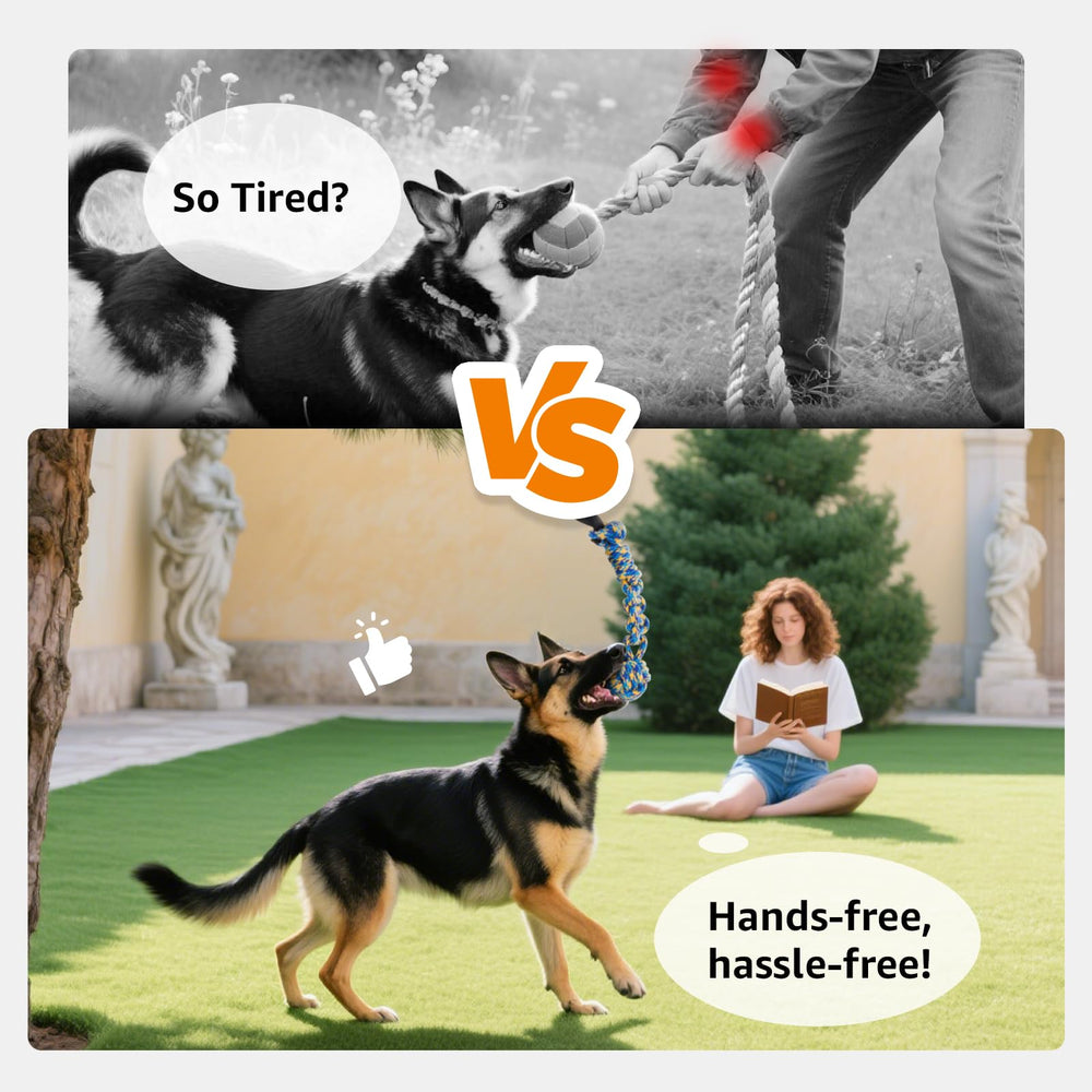 LOOBANI outdoor-exercise-toy helps burn energy with chase and tug in the yard.