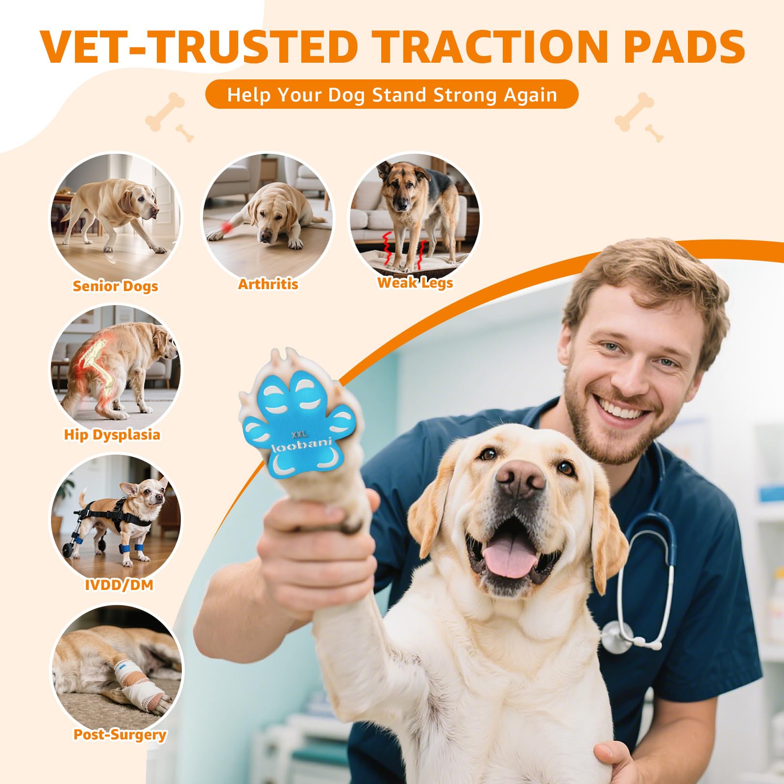 LOOBANI Paw Pads senior-dog-use demonstrates gentle grip support for unsteady paws.