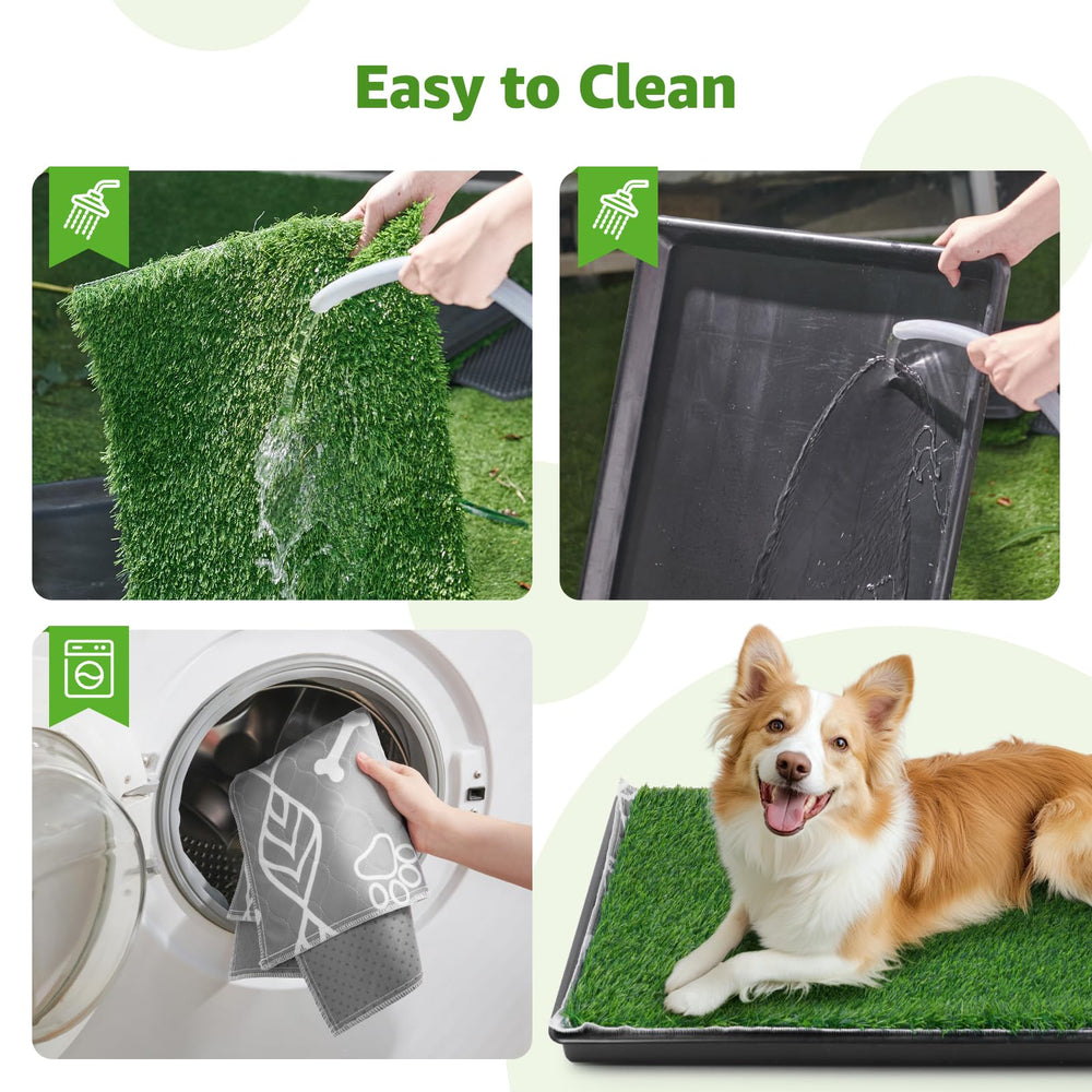 LOOBANI puppy-to-large dog potty scene shows versatile training aid