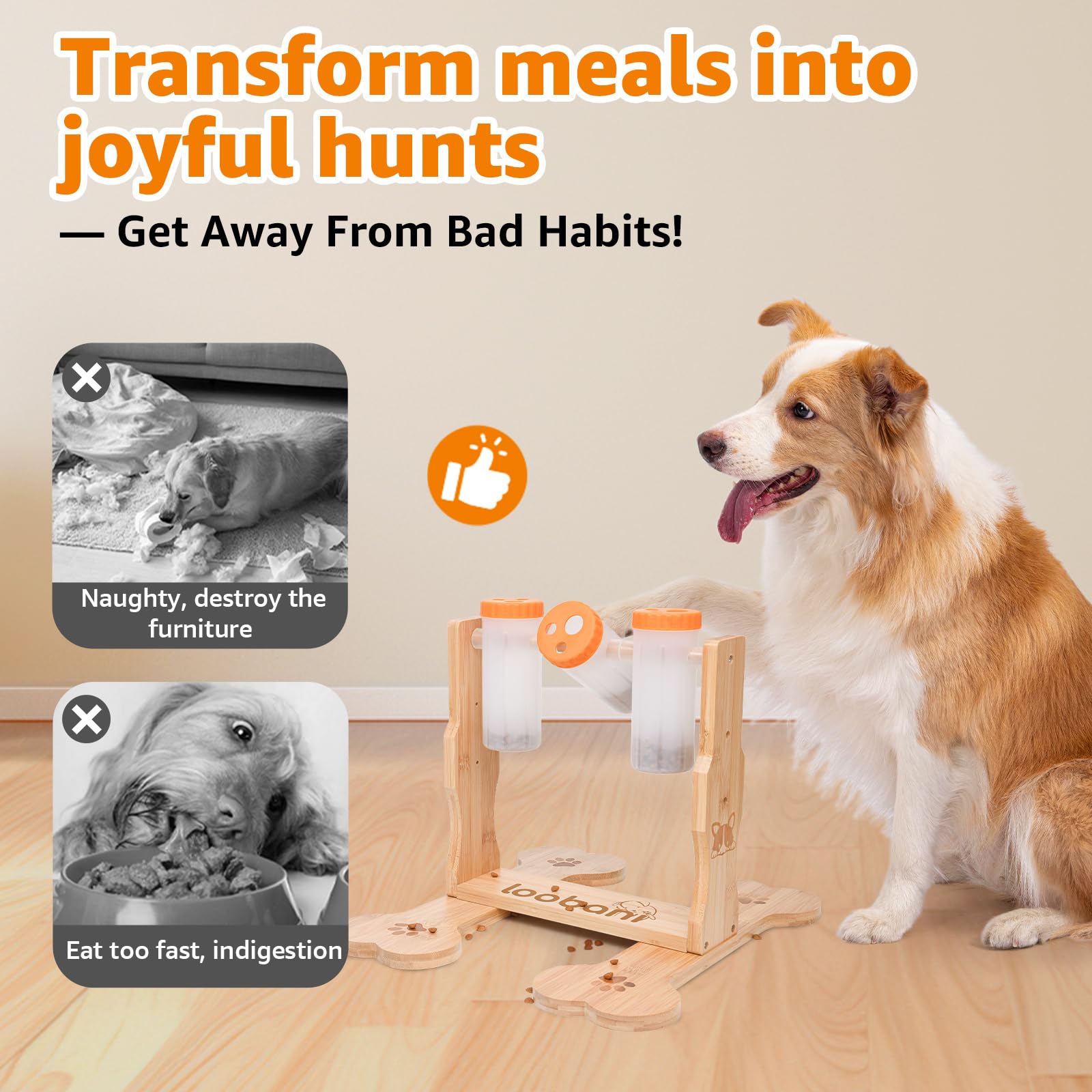 Loobani wooden puzzle toy in home setting for canine enrichment.
