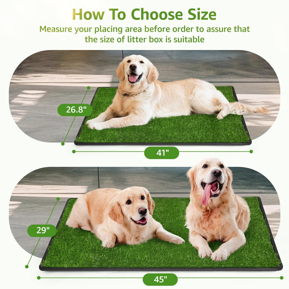 LOOBANI rapid-flow drainage back ensures quick water wicking for mess-free potty time.