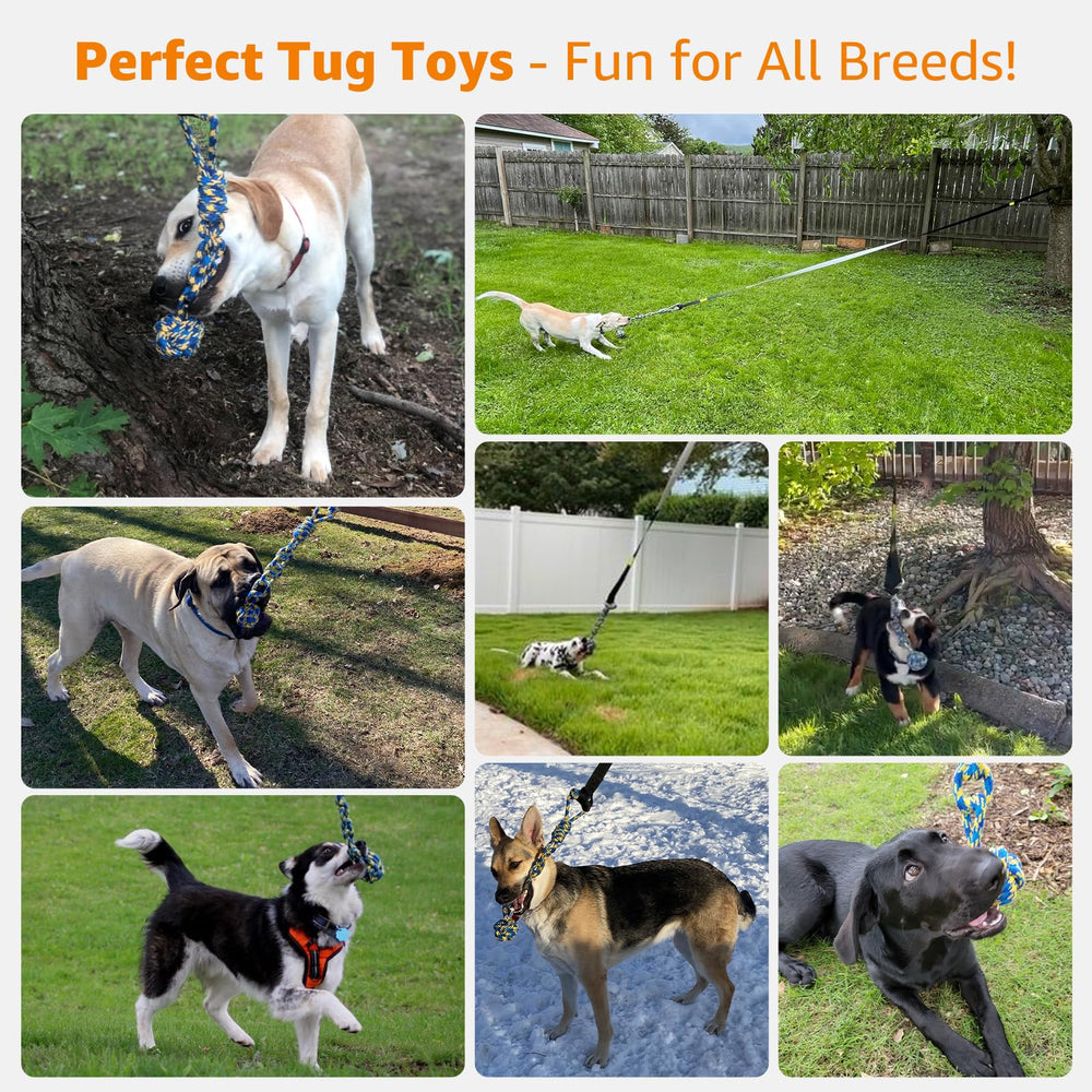 LOOBANI security-loop-strap protects teeth while dogs tug vigorously.