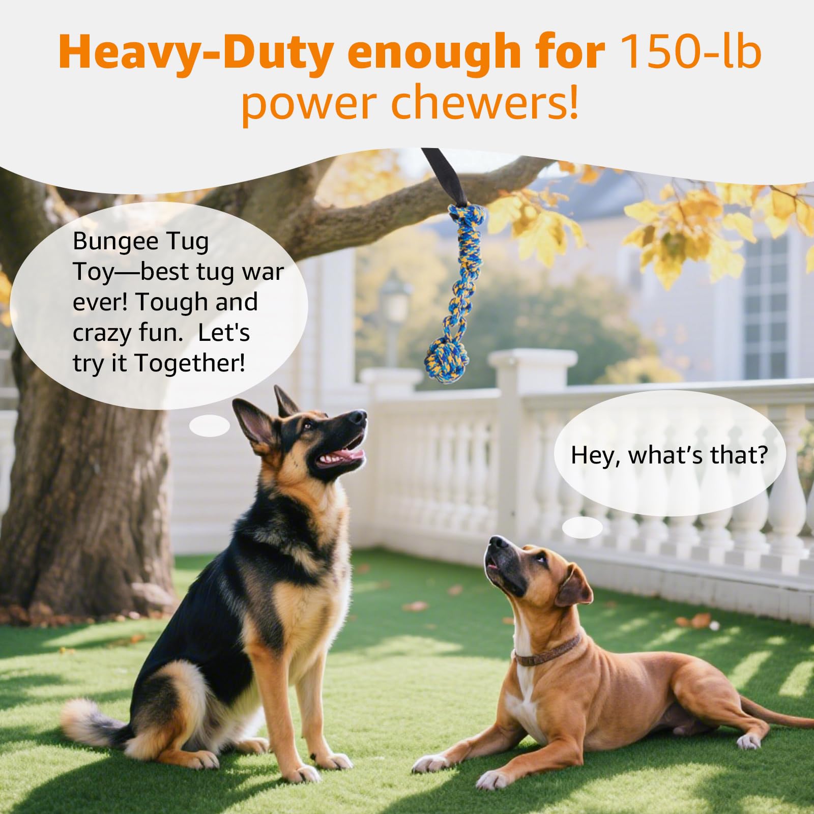 LOOBANI solo-play-tug invites dogs to swing, pull, and entertain themselves outside.