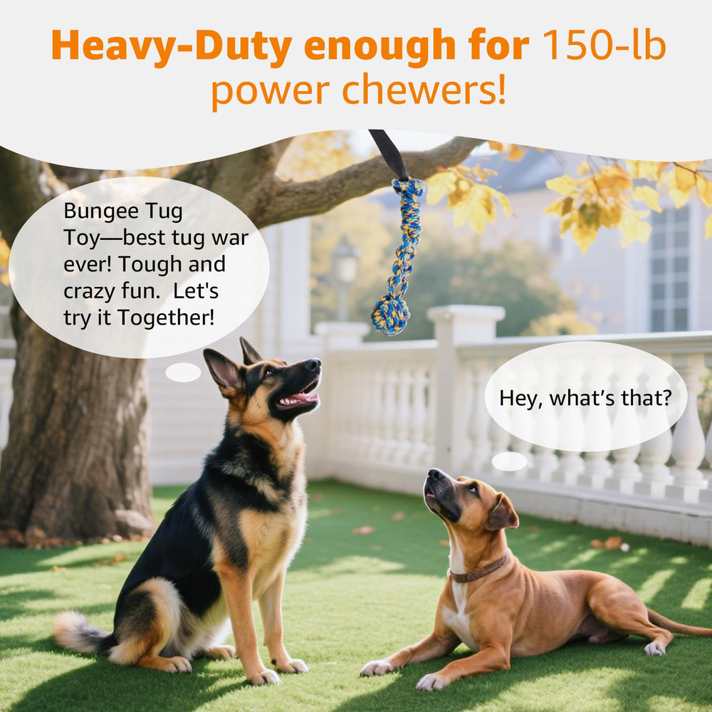 LOOBANI solo-play-tug invites dogs to swing, pull, and entertain themselves outside.