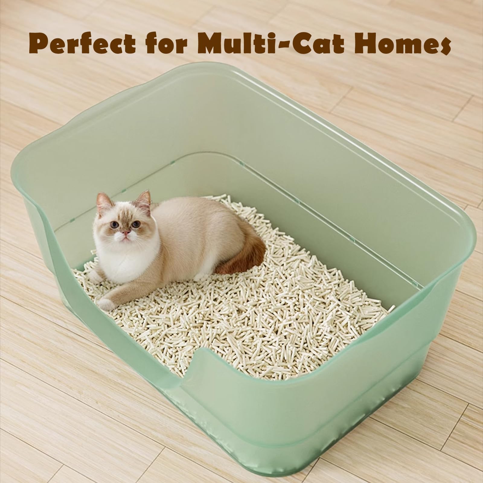 LoopTime anti-splash, low-entry litter box helps control spills and accessibility.
