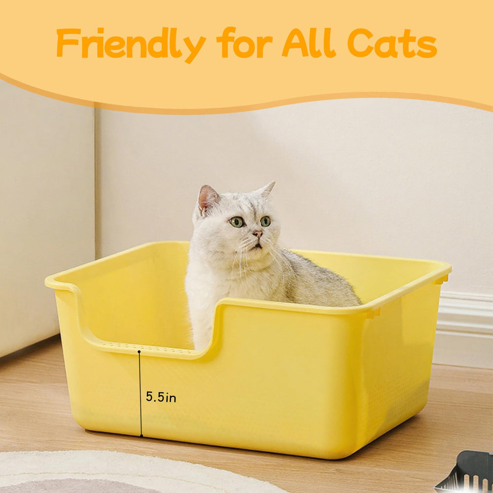 LoopTime spacious multi-cat box provides room to move.