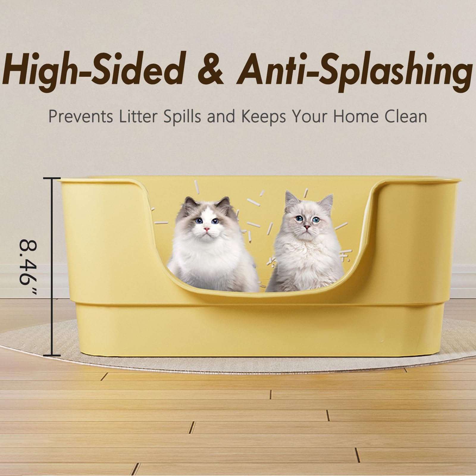 LoopTime extra large cat litter box low-entry front view eases kitten and senior cat access.