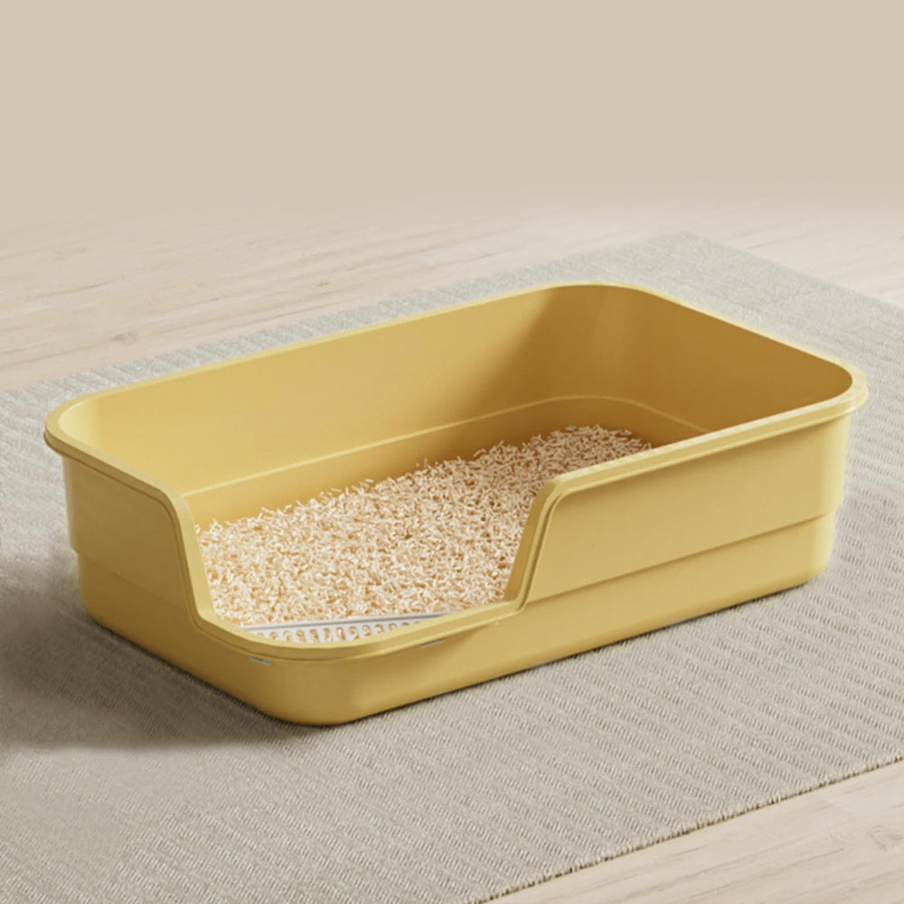 LoopTime extra large litter box with low entry for easy kitten access.