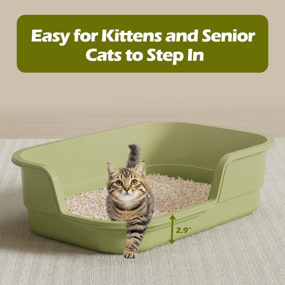 LoopTime extra large litter box green side-entry demonstrates easy access for all cats