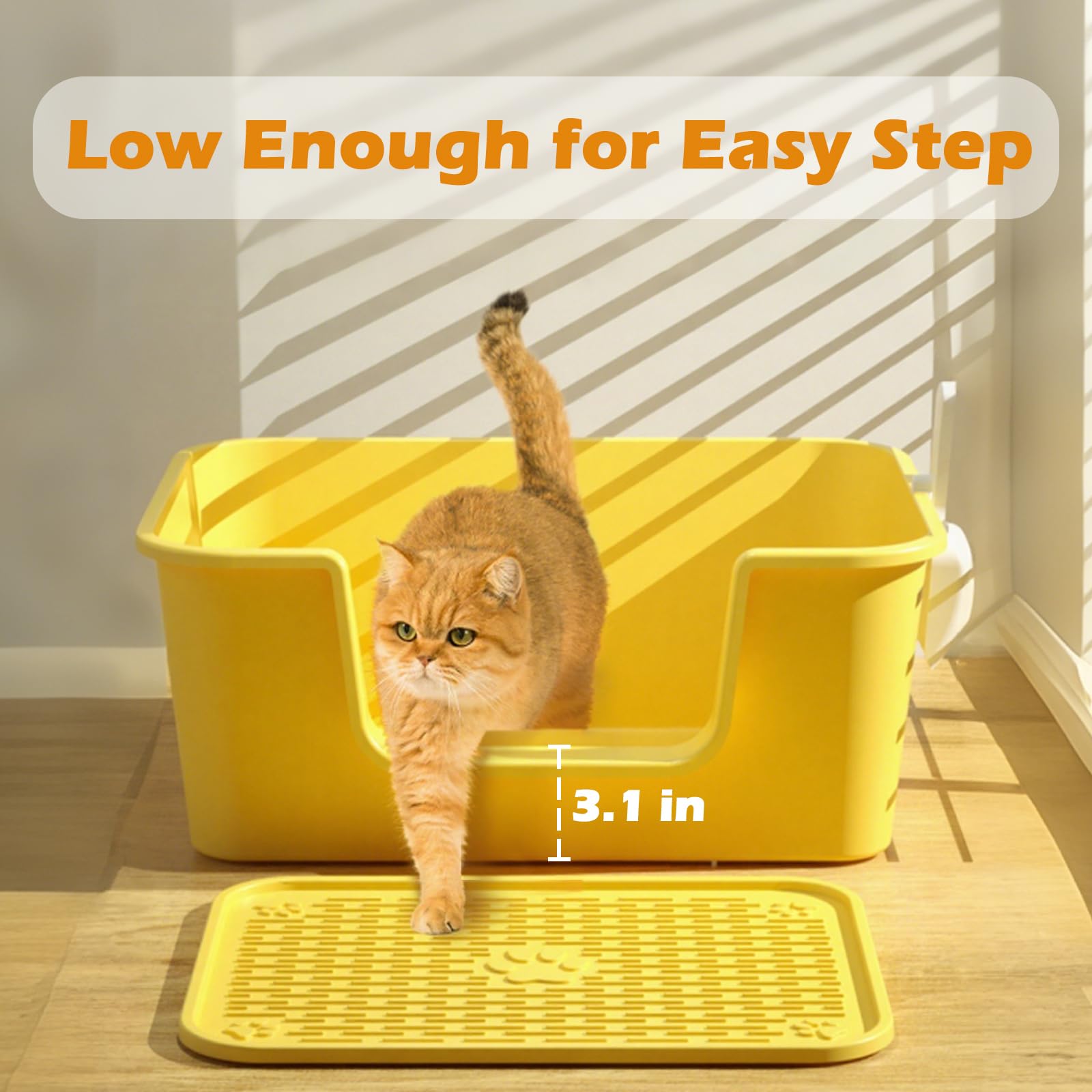 LoopTime large cat litter box high walls provide privacy and reduce spray