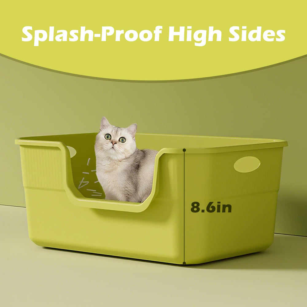 LoopTime litter box with low-entry front design eases access for senior cats.