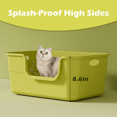 LoopTime litter box with low-entry front design eases access for senior cats.