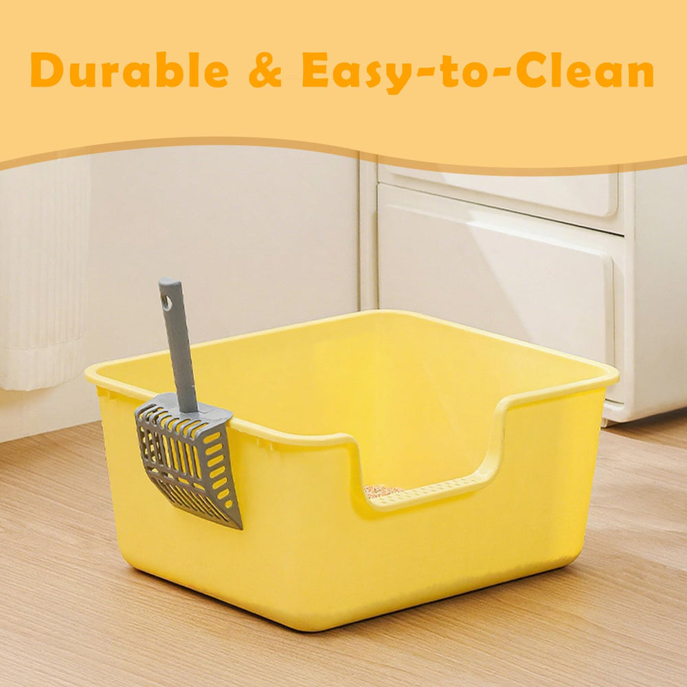 LoopTime multi-cat-friendly layout supports comfortable movement for different cat sizes.