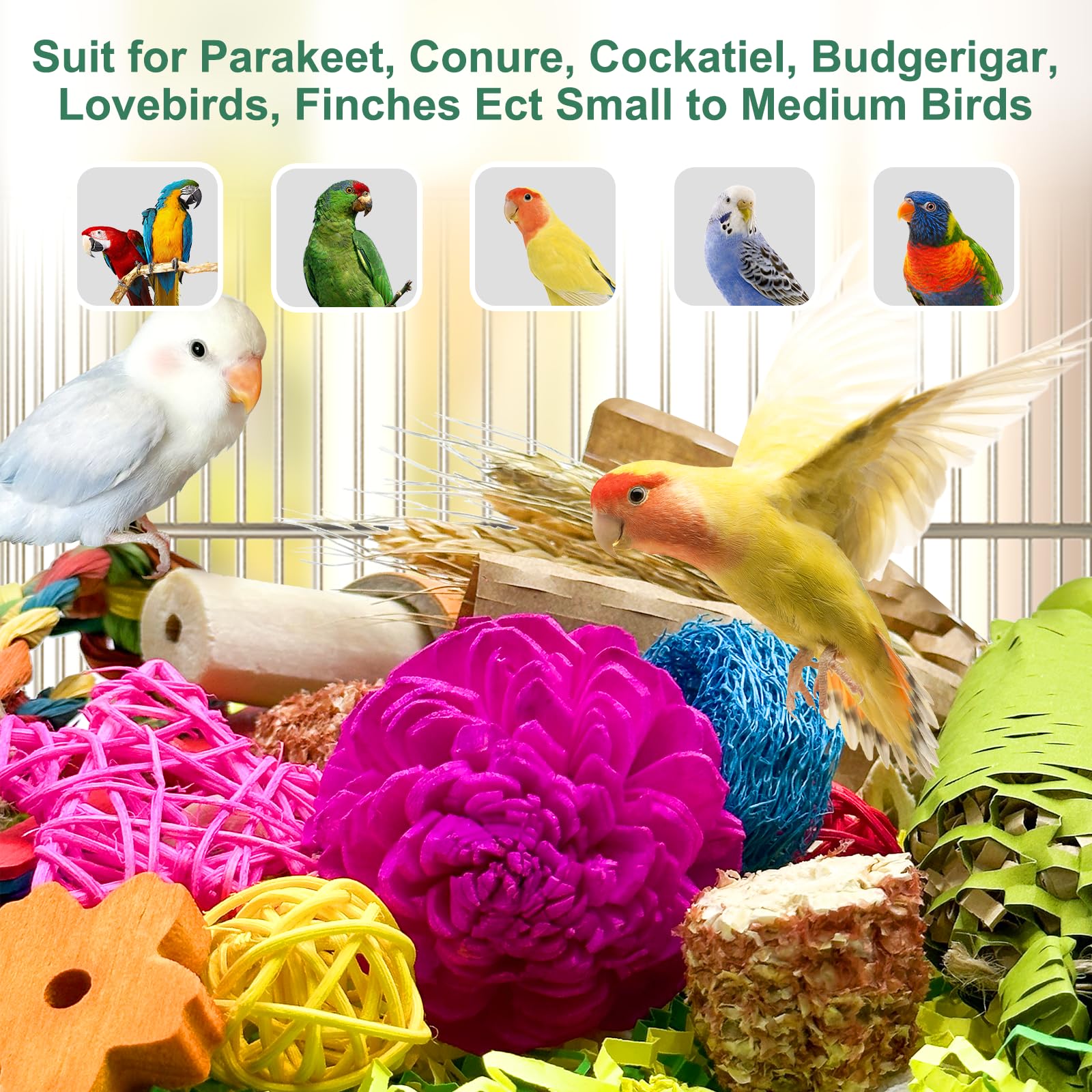 Loperdeve box-style toy on cage offers easy placement for daily enrichment.