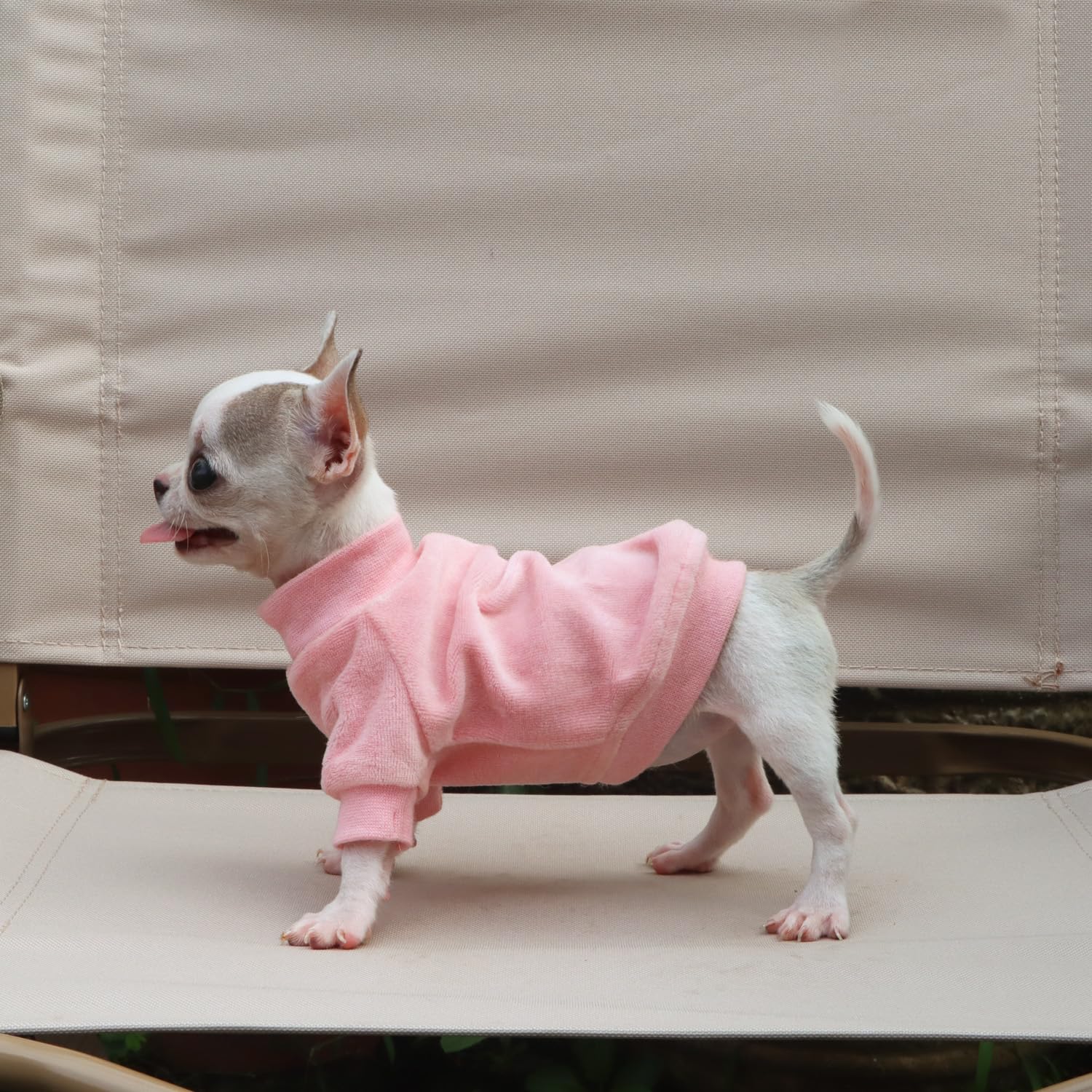 LOPHHIPETS pink XX-small dog sweatshirt packaged product image