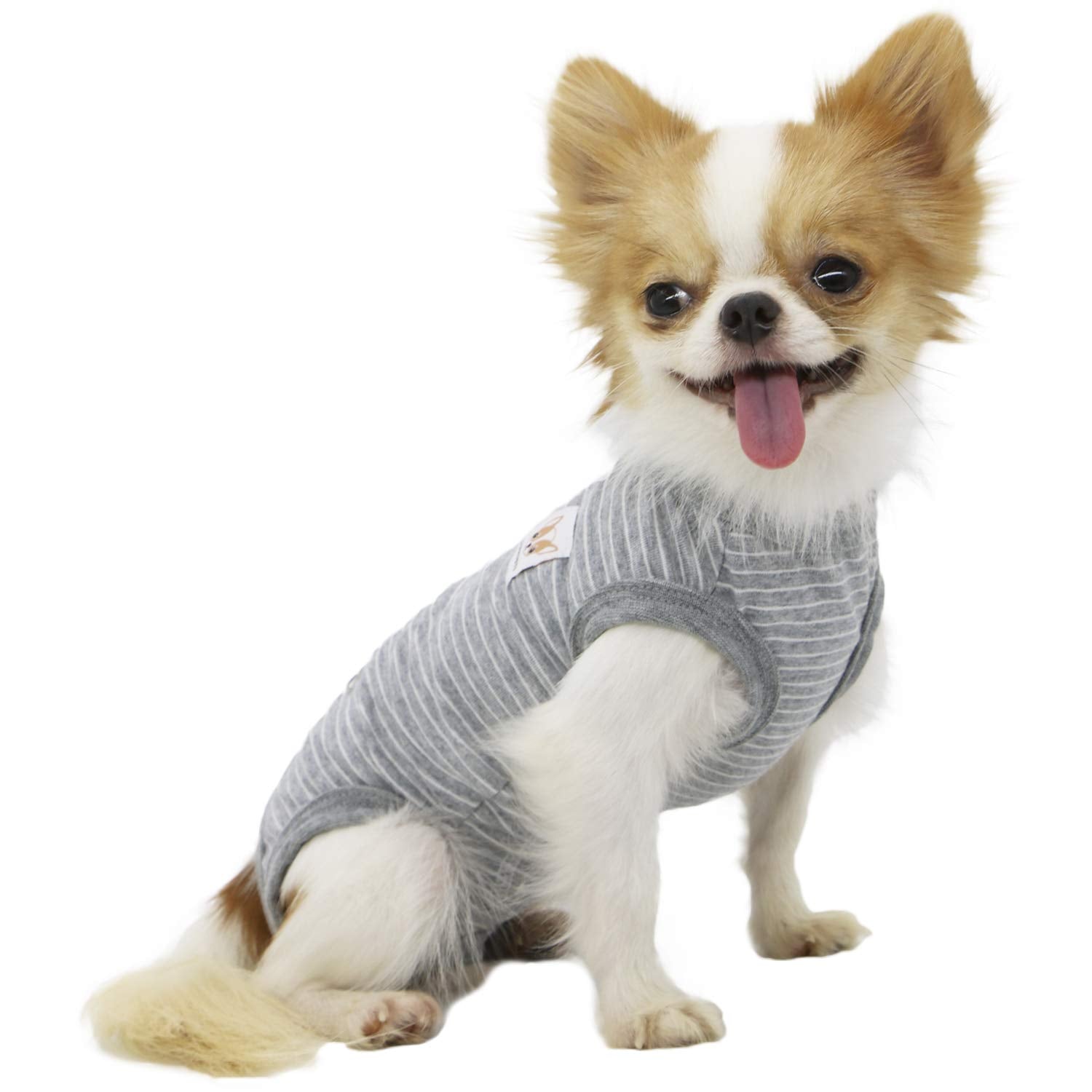 LOPHIPETS girl dog shirts gray strips XL front fits tiny breeds securely