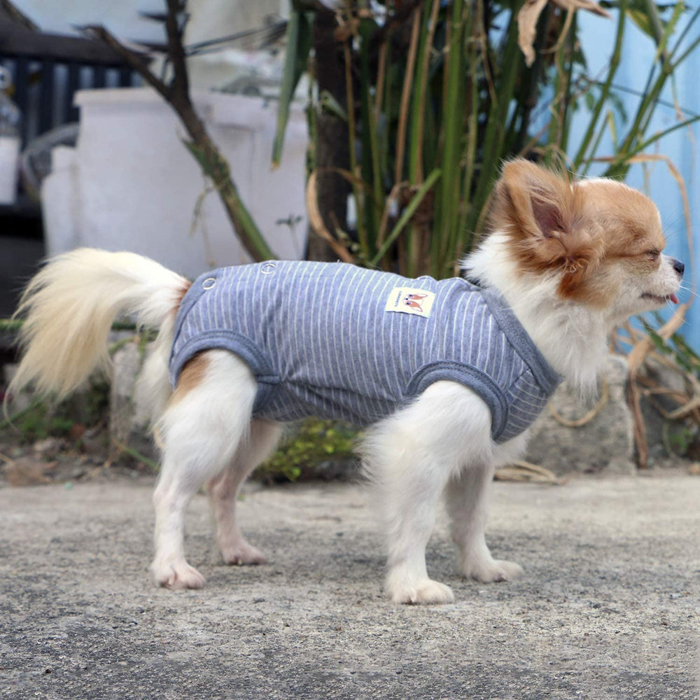 LOPHIPETS small size chart helps find perfect fit for tiny breeds