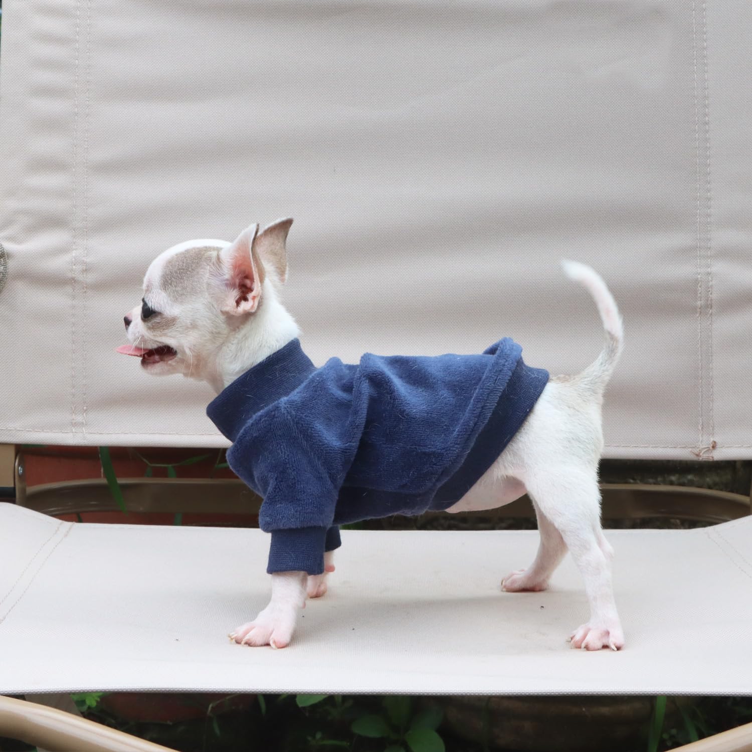 LOPHIPETS care instructions closeup explains cold-wash and lint shedding guidance