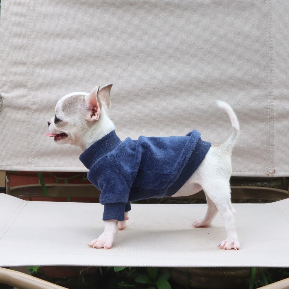 LOPHIPETS care instructions closeup explains cold-wash and lint shedding guidance