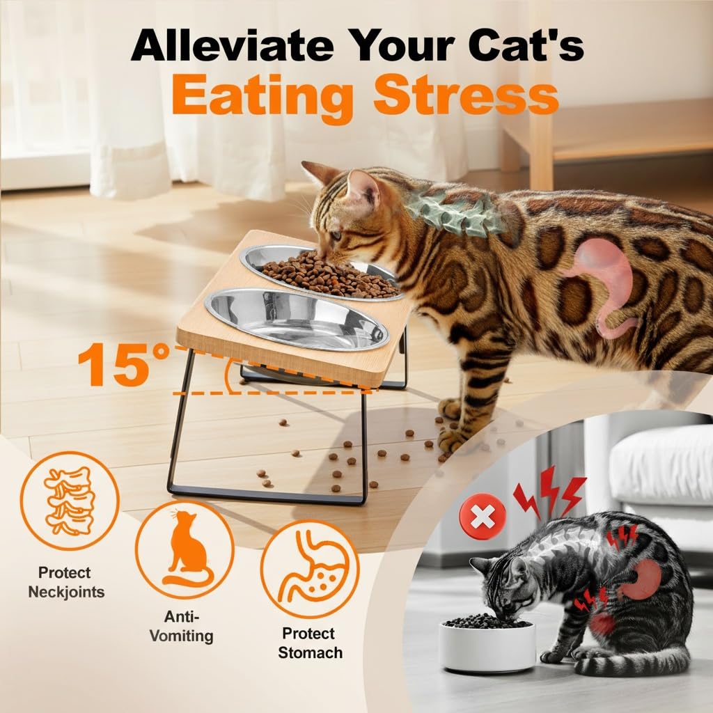 Loplurea stainless steel cat bowl dish endures daily use and cleans easily after meals.