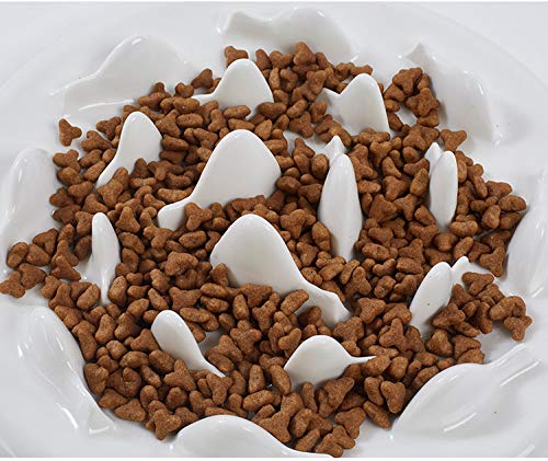 Lorde slow-feeder-cat-bowl-safe-materials emphasizes lead-free and toxin-free ceramic.