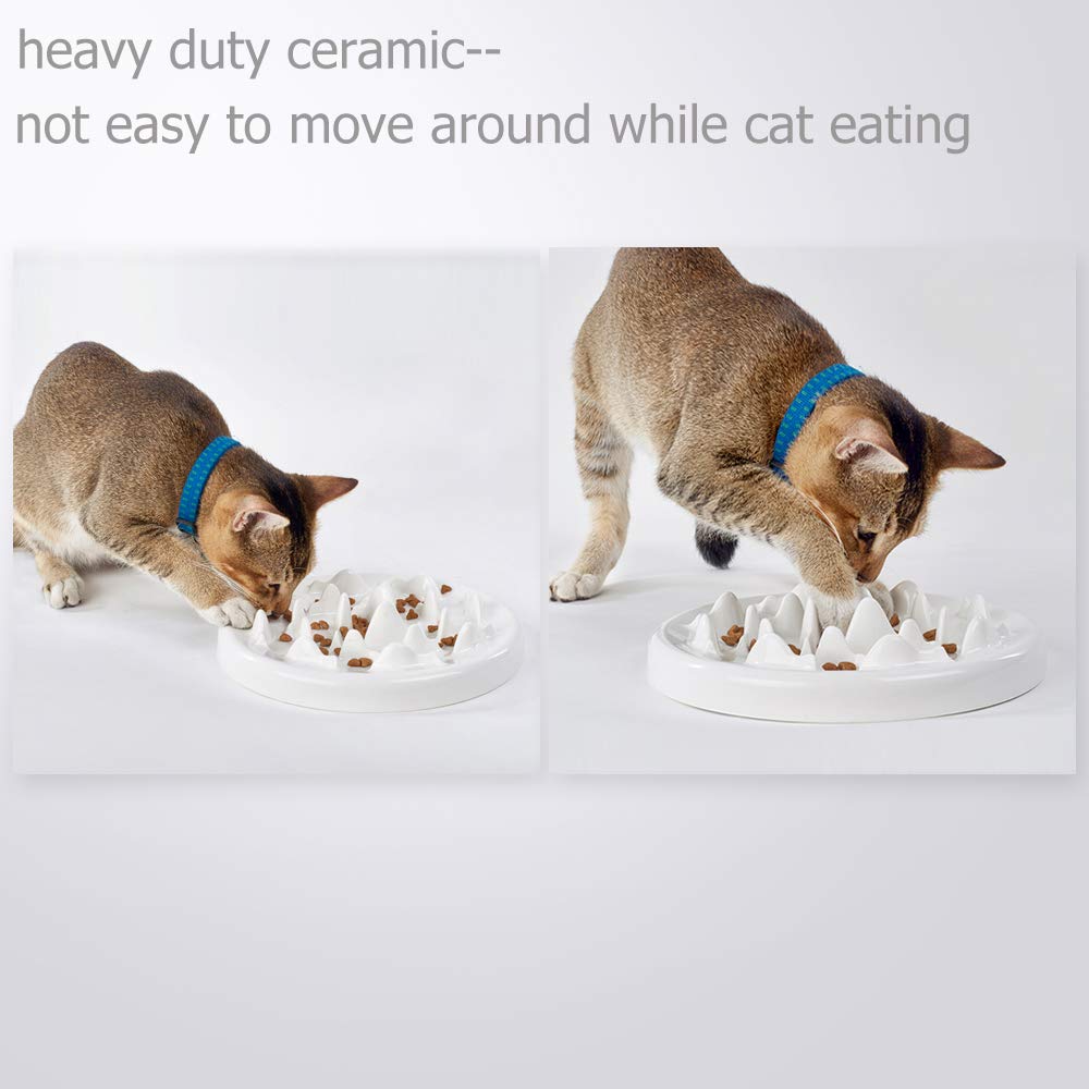 Lorde slow-feeder-cat-bowl-white-ceramic focuses on hygienic, microwave-safe design.
