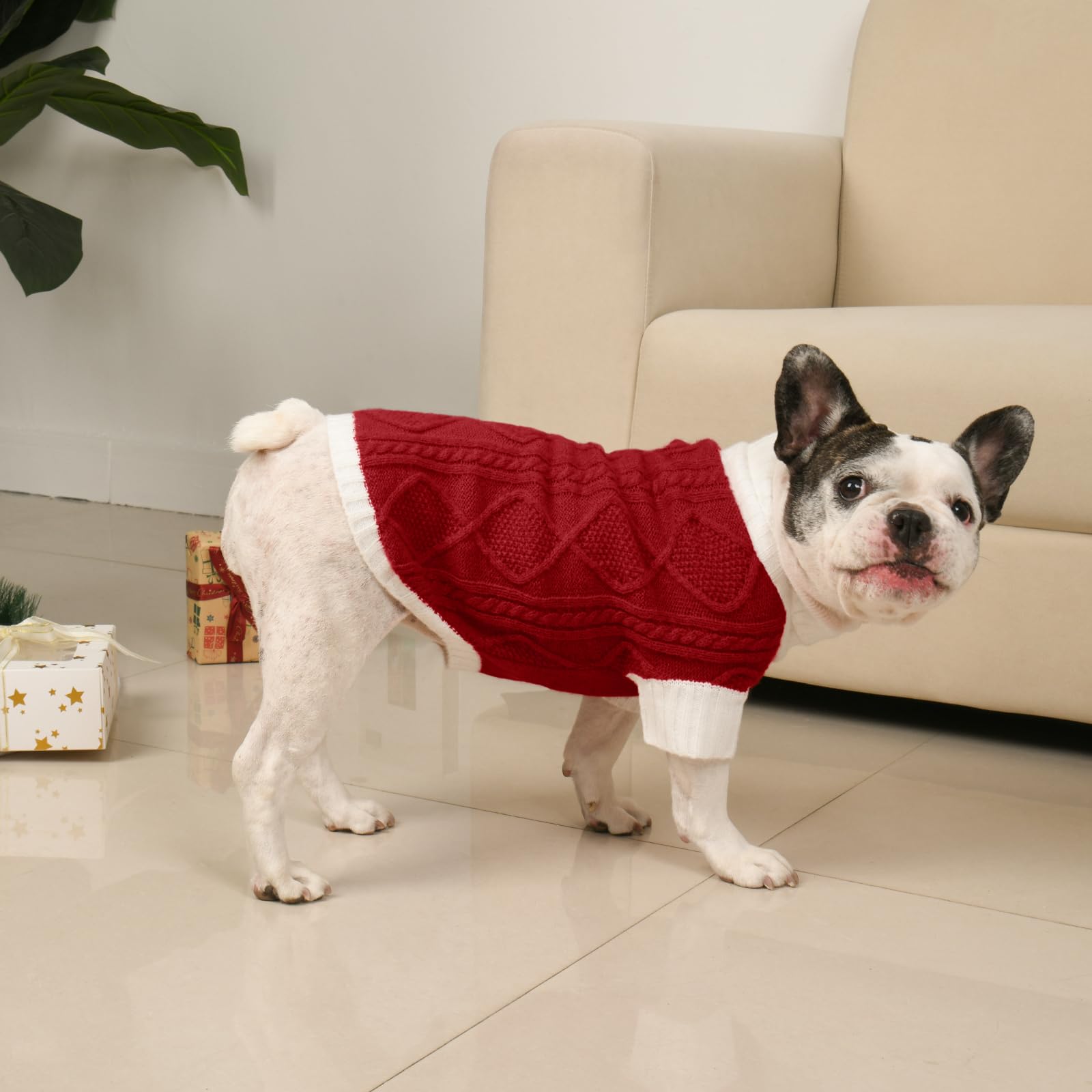 Lorehelina holiday photo ready red dog sweater for festive moments