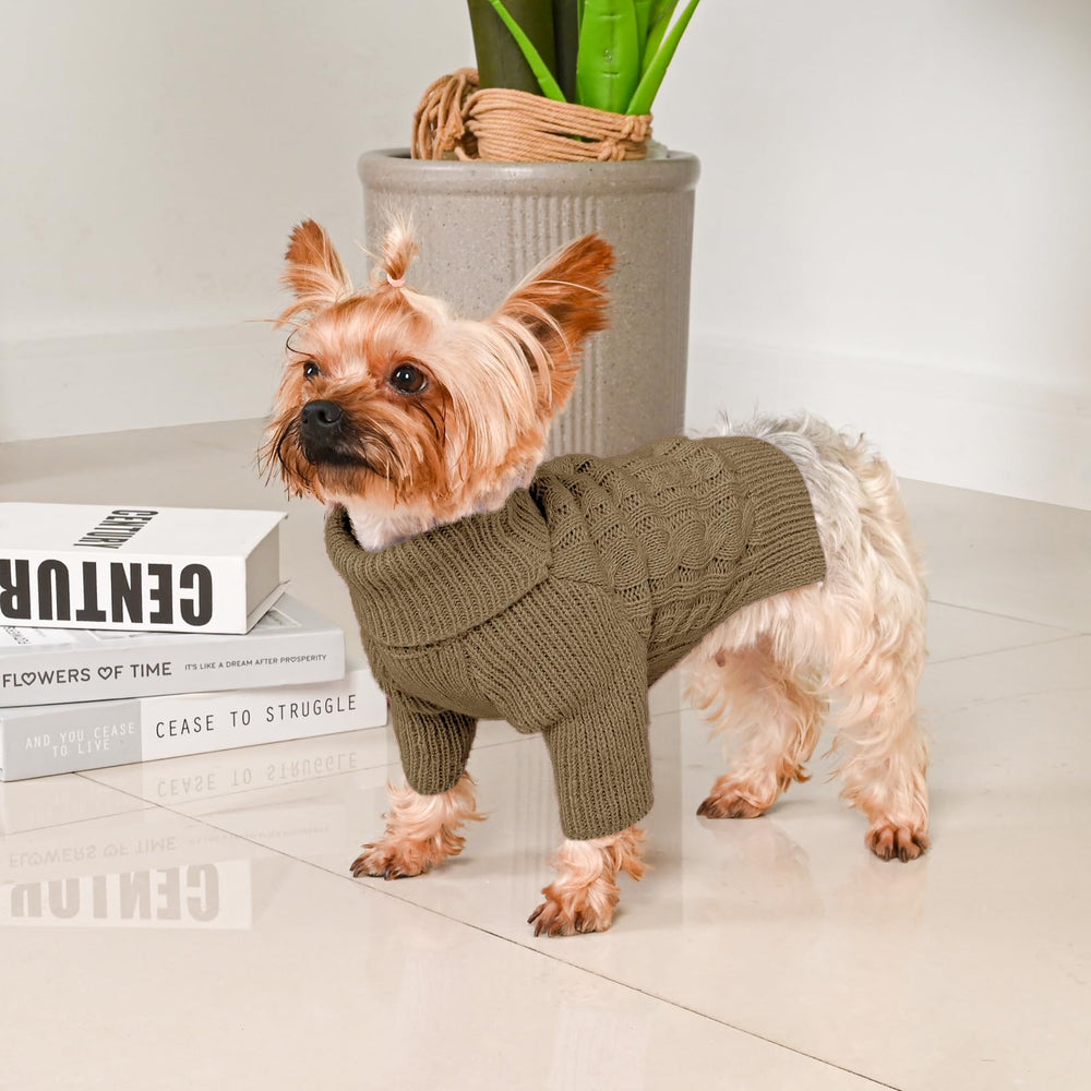 Lorehelina holiday-style-brown pairs with festive occasions