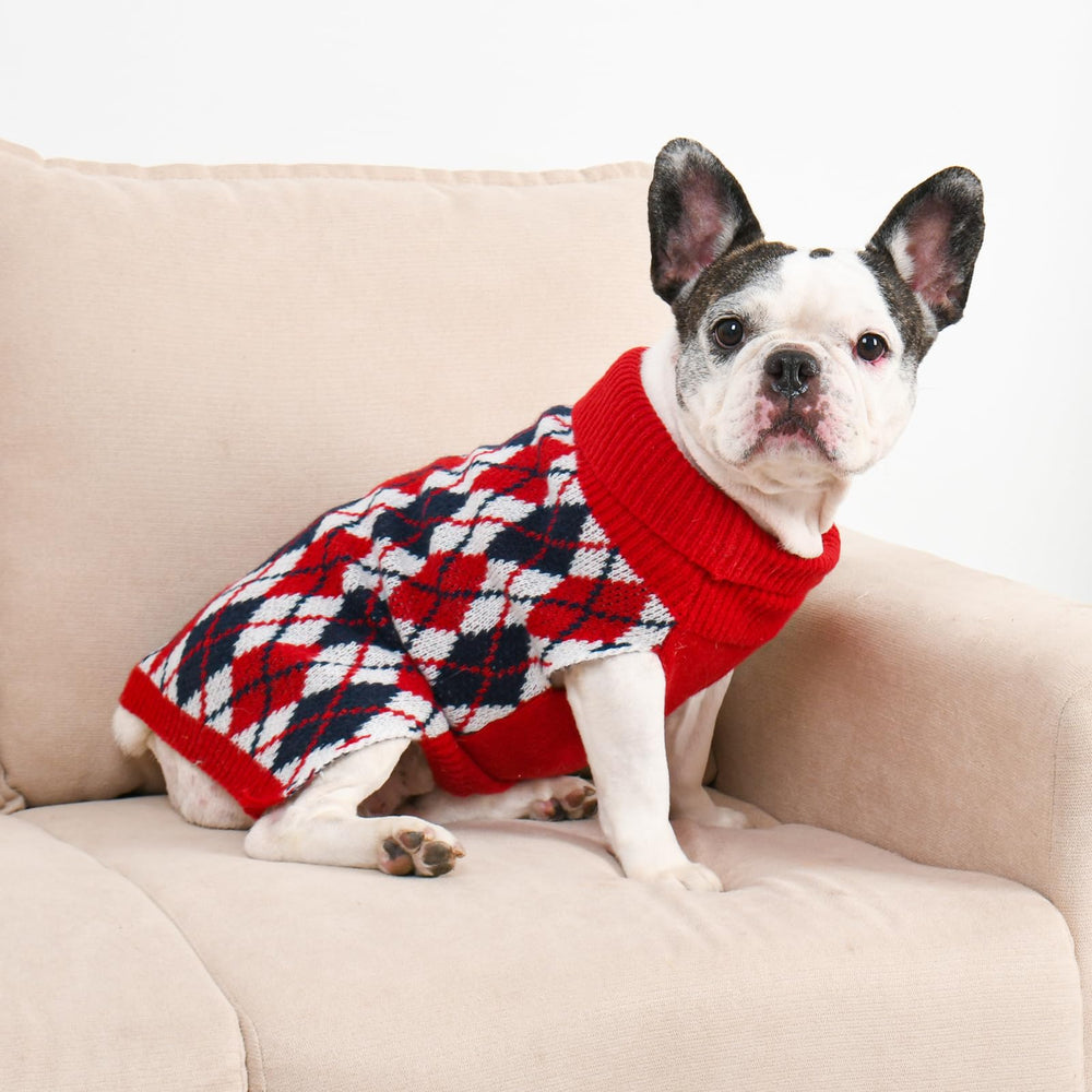 Lorehelina dog sweater holiday style great for festive photo moments