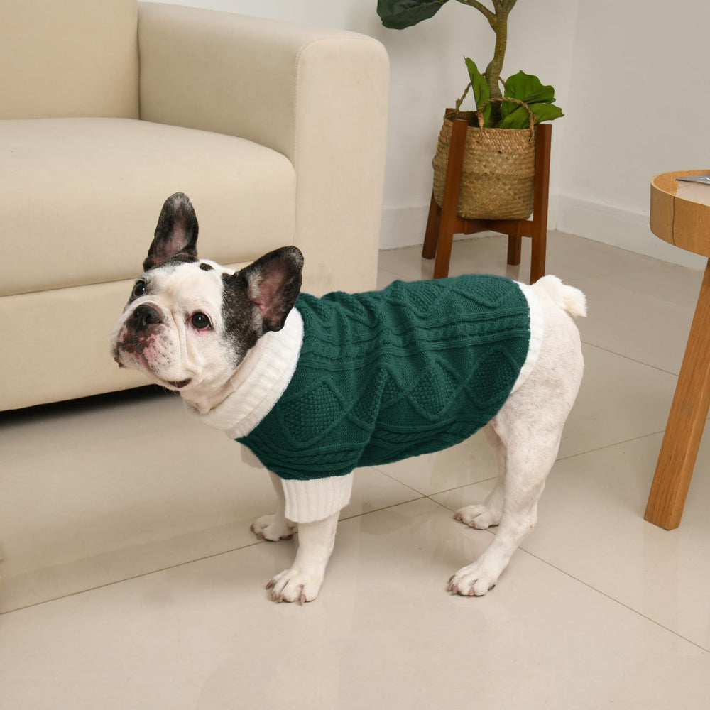 Lorehelina dog sweater machine-washable green simplifies cleaning after trips