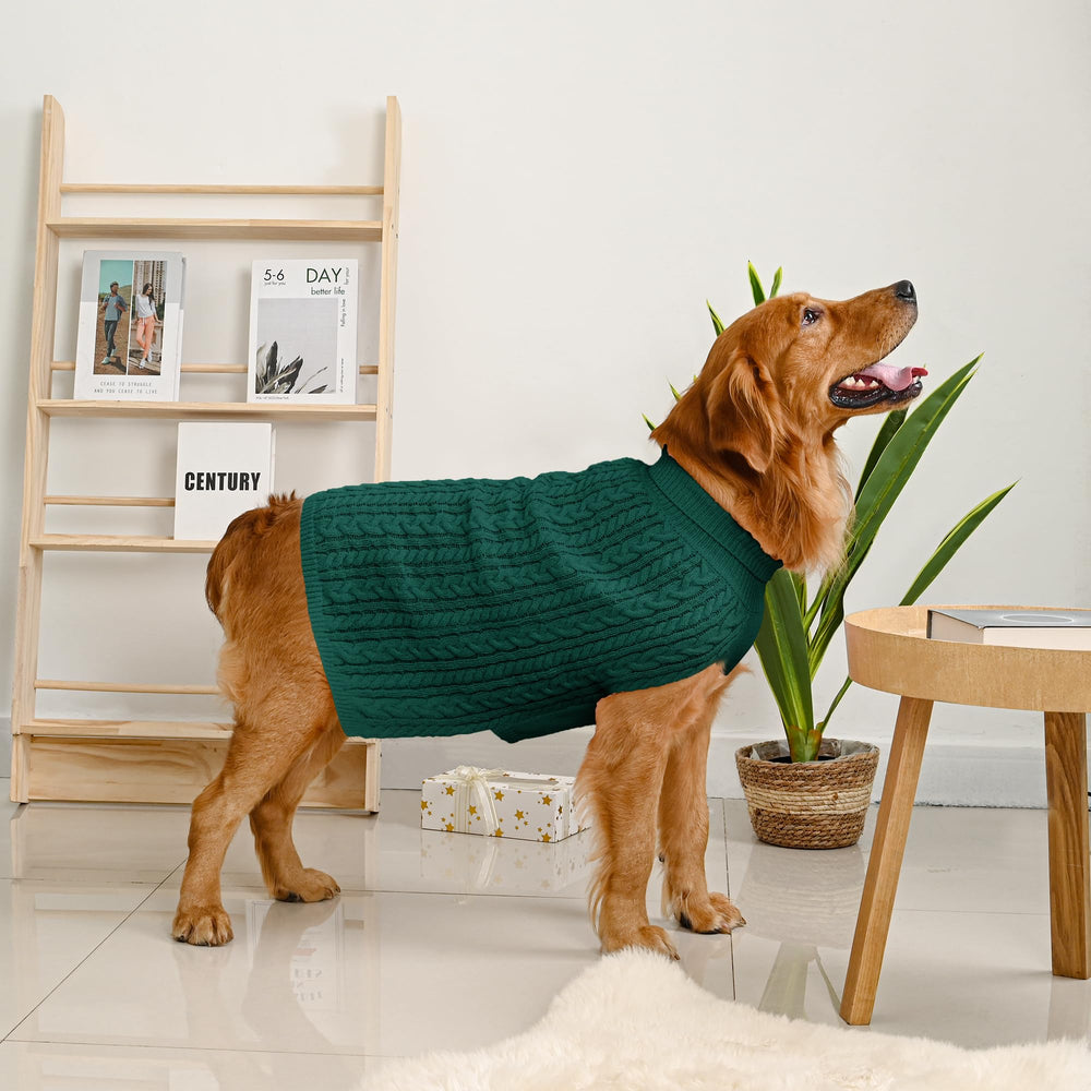 Lorehelina dog sweater model wearing the XXL for a large breed