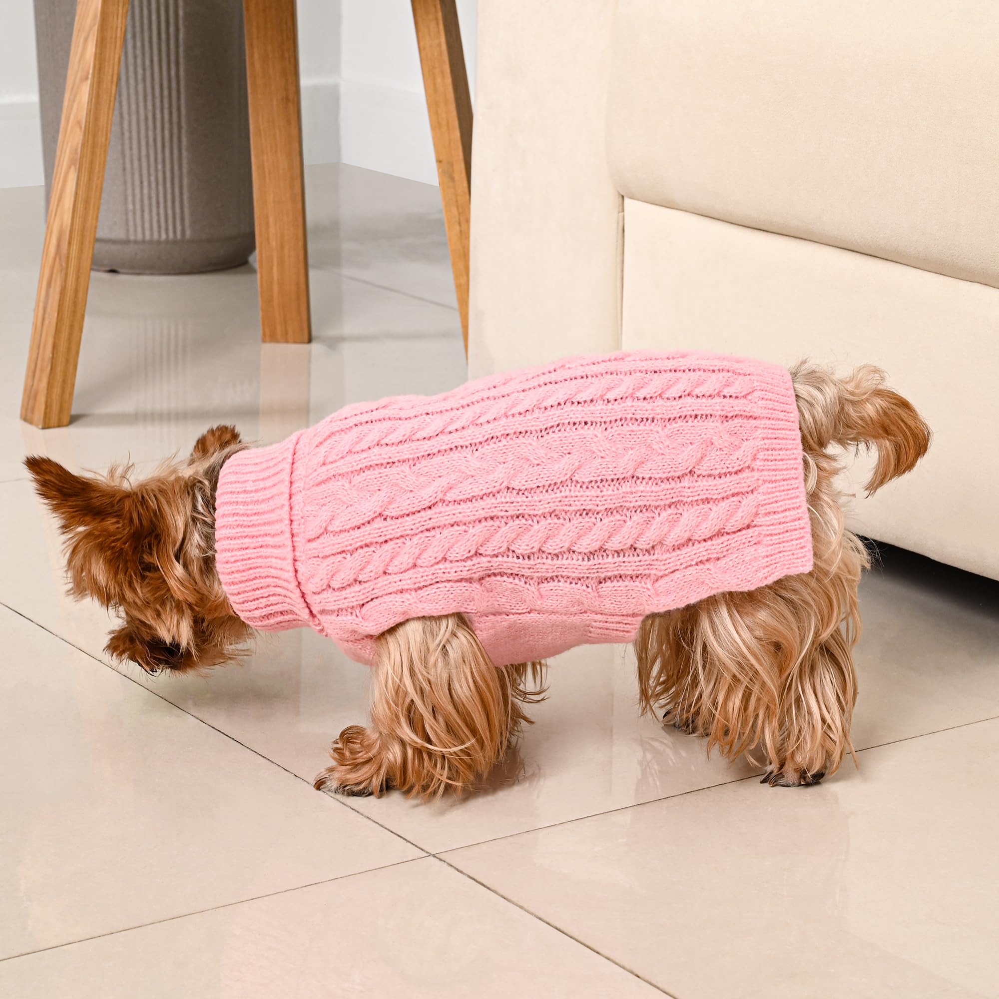 Lorehelina dog sweater worn during a seasonal photoshoot, ideal for holiday memories.